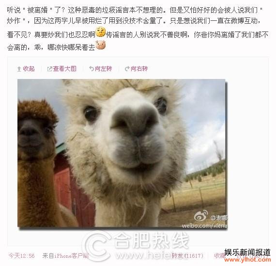 л��΢��������鴫�� ��ҥ�Ե����������Ĵ���ȥ